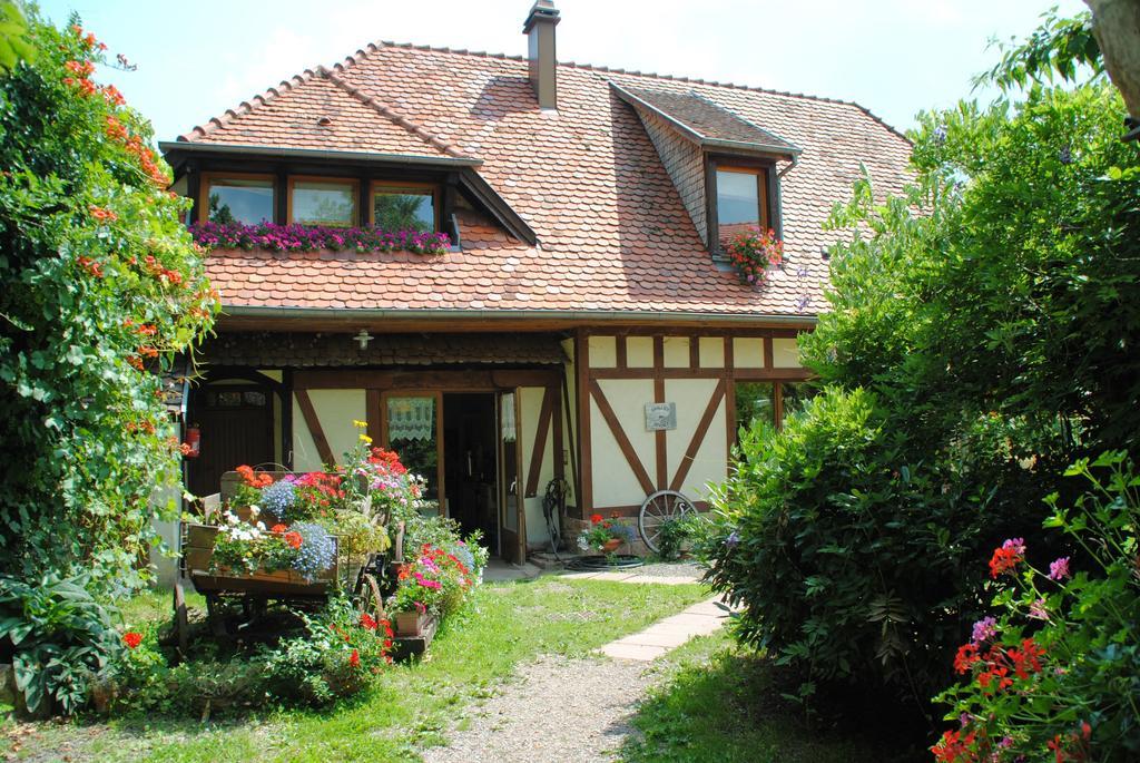 Le Neufeld Bed and Breakfast Oberhaslach Esterno foto