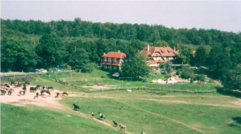 Le Neufeld Bed and Breakfast Oberhaslach Esterno foto