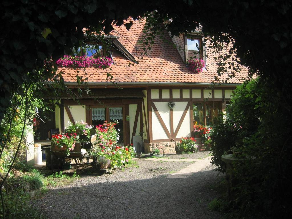 Le Neufeld Bed and Breakfast Oberhaslach Esterno foto