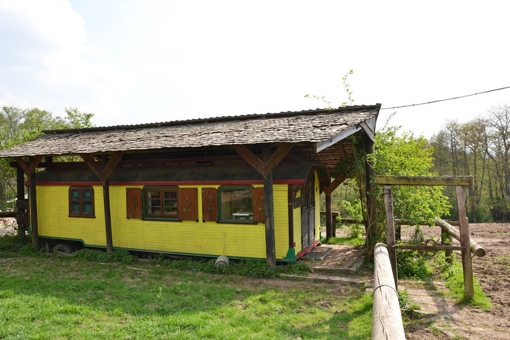 Le Neufeld Bed and Breakfast Oberhaslach Esterno foto
