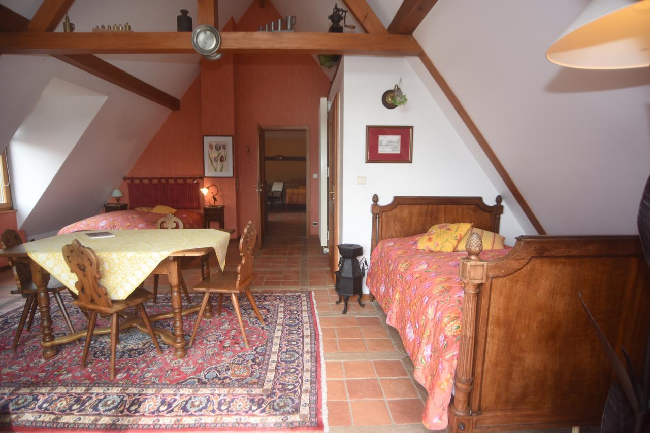 Le Neufeld Bed and Breakfast Oberhaslach Esterno foto
