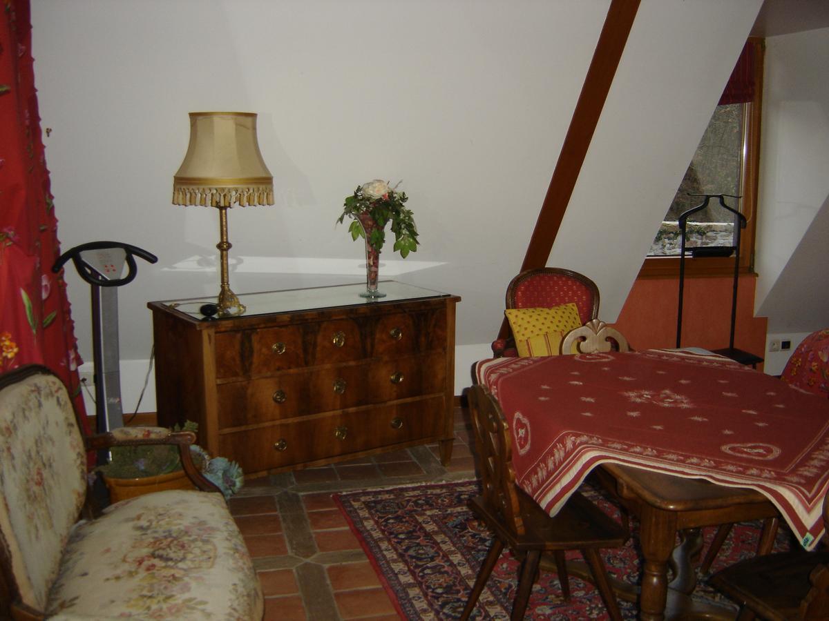 Le Neufeld Bed and Breakfast Oberhaslach Esterno foto